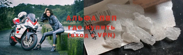 spice Богданович