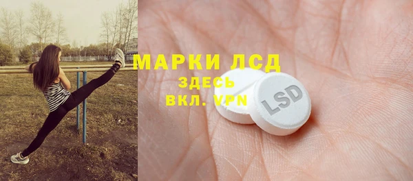 spice Богданович