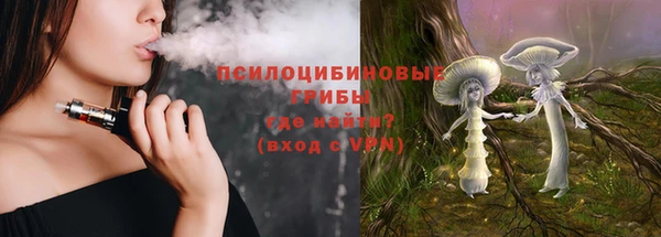 крисы Михайловск