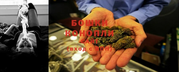 spice Богданович