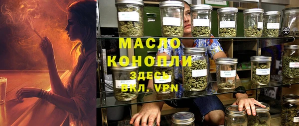 spice Богданович