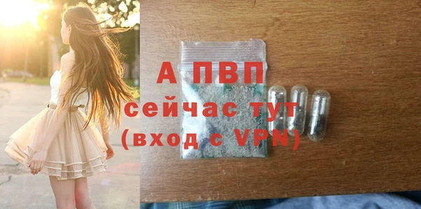 стафф Заволжье