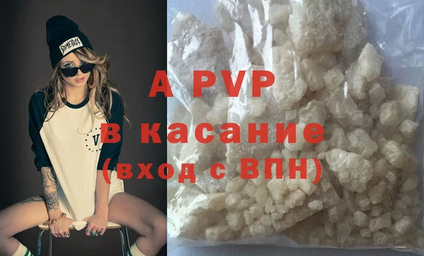 spice Богданович